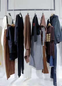 司徒靜的服裝生意 從批發(fā)走向品牌化，解鎖服裝行業(yè)機(jī)遇