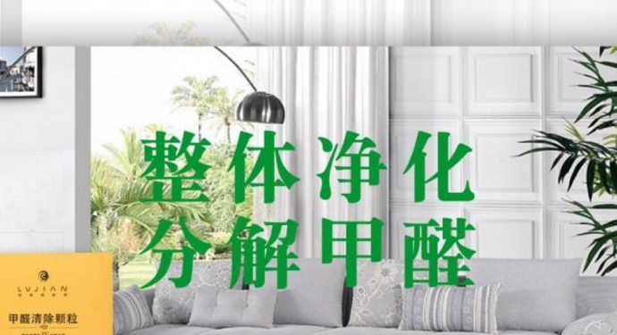 破解空氣凈化難題 盛世康新型催化材料的科學與應用